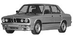 BMW E28 P2479 Fault Code